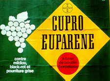 13-1 First generation.jpg (8478 bytes)