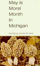 18-24 morel May Michigan.gif (11042 bytes)