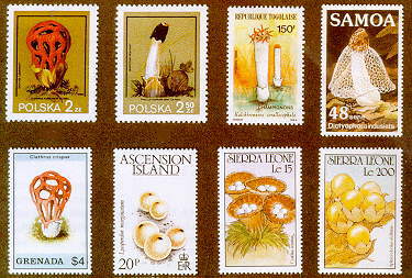gastero stamps.jpg (33939 bytes)